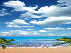 TAVAN DUVAR GERG� TAVAN RES�MLER�