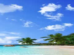 TAVAN DUVAR GERG� TAVAN RES�MLER�