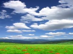 TAVAN DUVAR GERG� TAVAN RES�MLER�