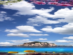 TAVAN DUVAR GERG� TAVAN RES�MLER�