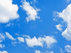 SADE BULUT GERG� TAVAN RES�MLER�