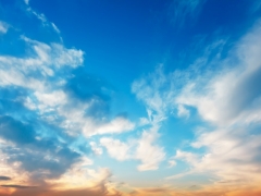 SADE BULUT GERG� TAVAN RES�MLER�